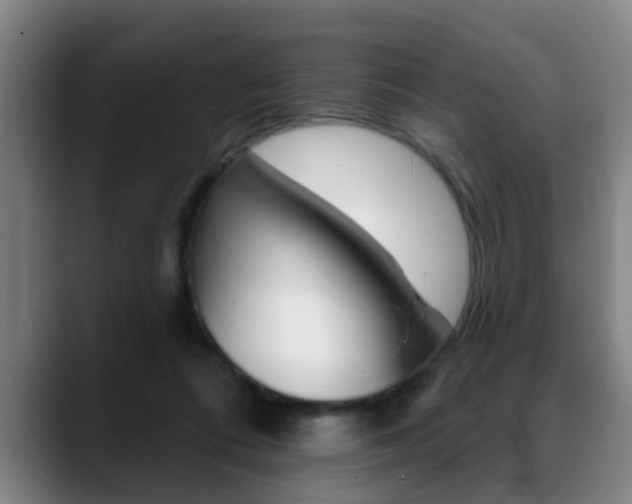 X0000089420312200706151008