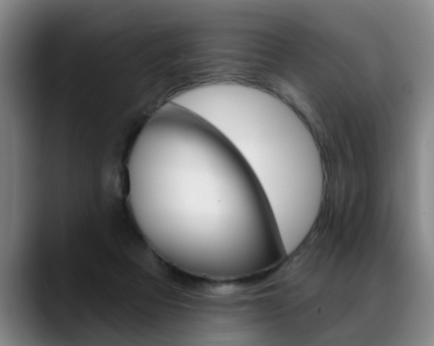 X0000089420313200706151008
