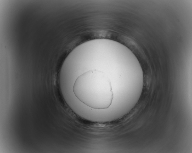 X0000089420326200706151008