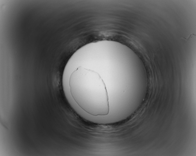 X0000089420328200706151008