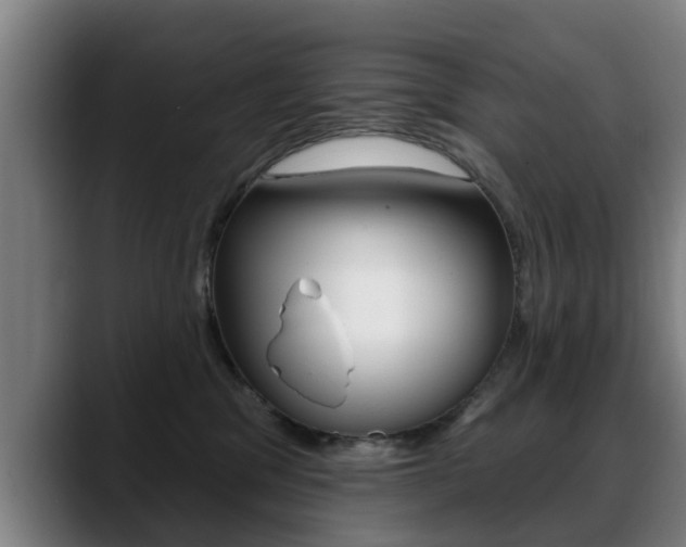 X0000089420329200706151008