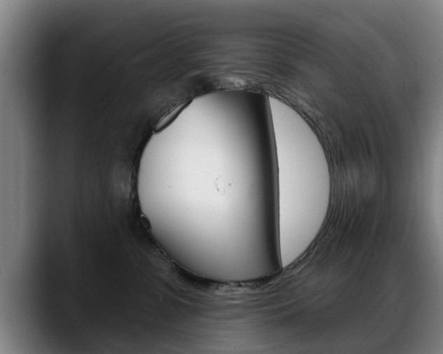 X0000089420331200706151008