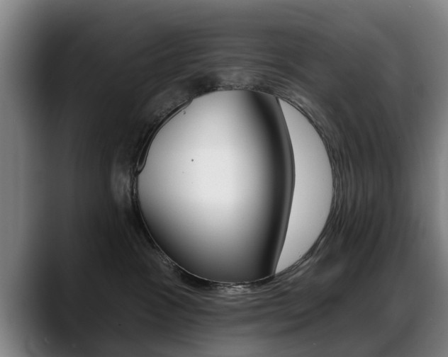 X0000089420333200706151008