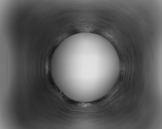 X0000089420334200706151008