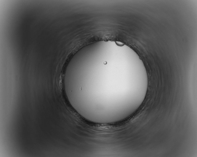 X0000089420336200706151008
