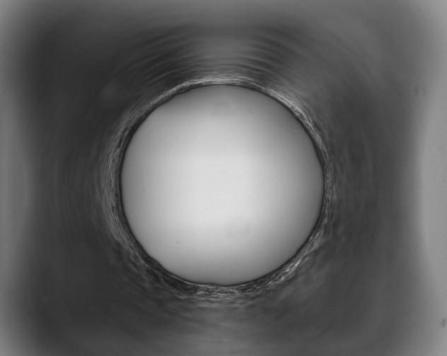 X0000089420337200706151007