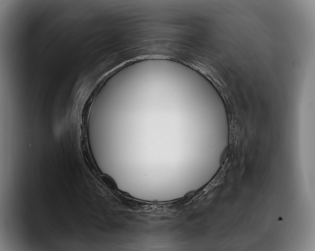 X0000089420338200706151007