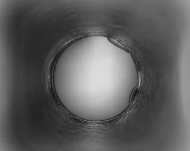 X0000089420339200706151007