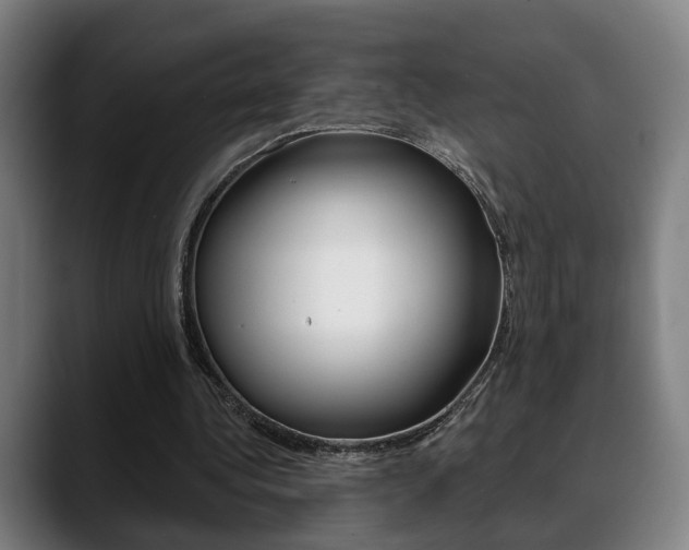 X0000089420340200706151007