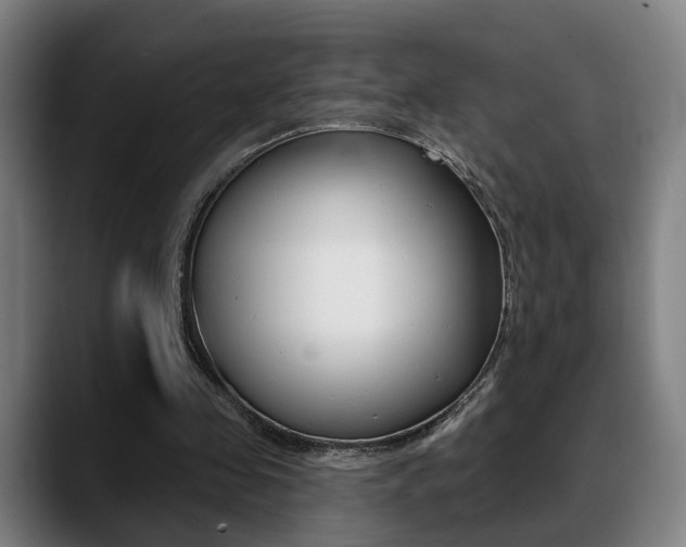 X0000089420341200706151007