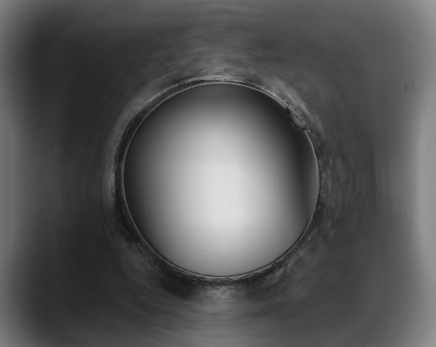 X0000089420344200706151007