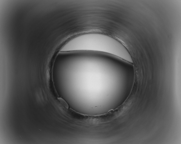 X0000089420350200706151007
