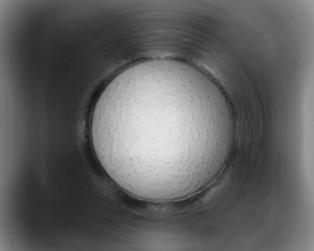 X0000089420351200706151007