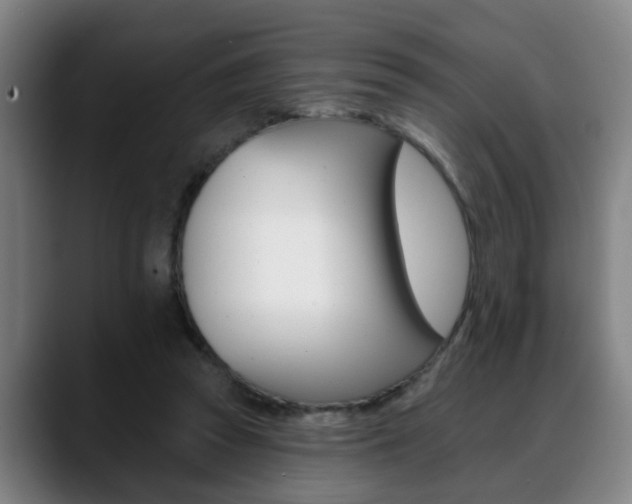 X0000089420353200706151007