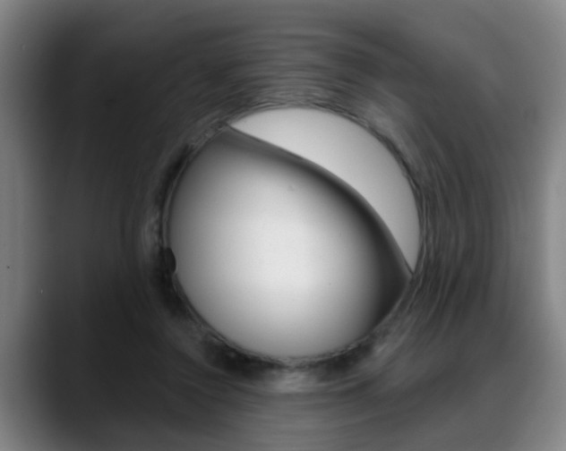 X0000089420356200706151007