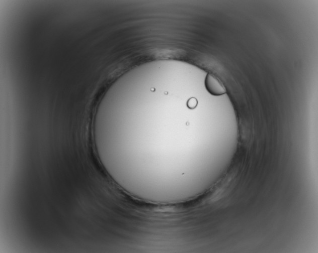 X0000089420357200706151007