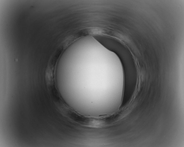 X0000089420360200706151007