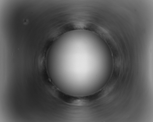 X0000089420364200706151007