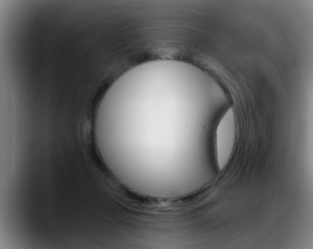 X0000089420365200706151007