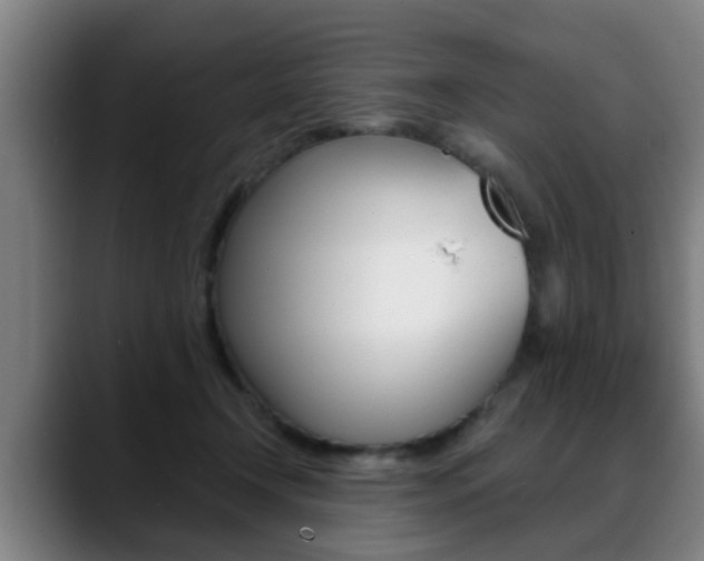 X0000089420366200706151007