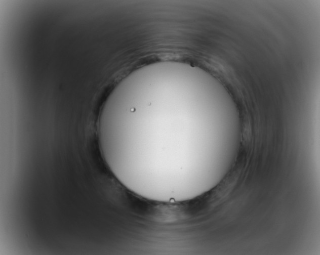 X0000089420367200706151007
