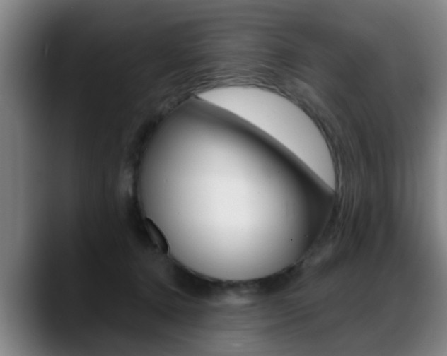 X0000089420368200706151007