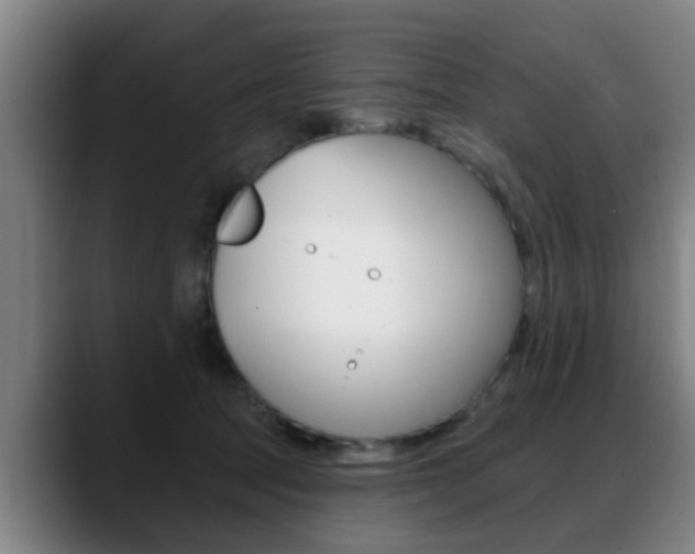 X0000089420369200706151007