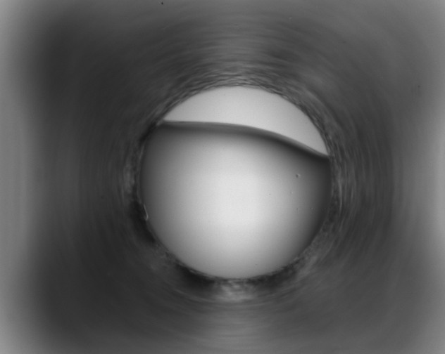 X0000089420372200706151007