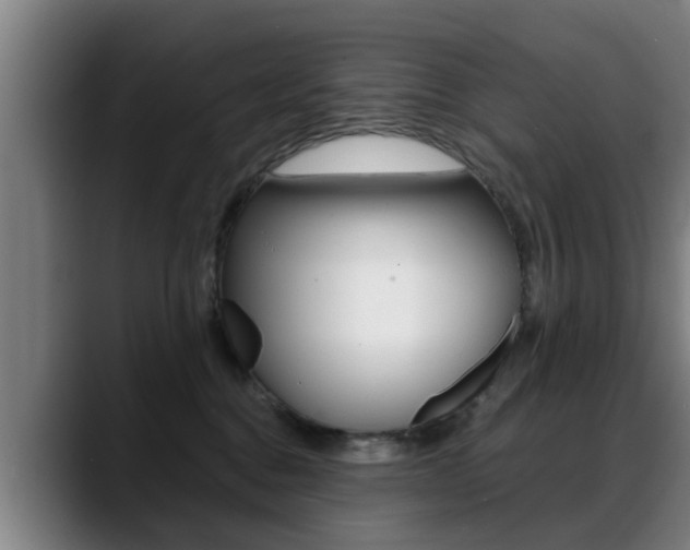X0000089420376200706151008