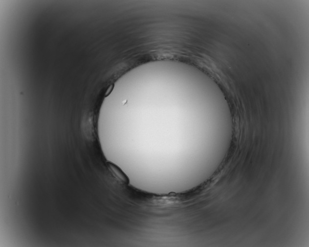 X0000089420378200706151008