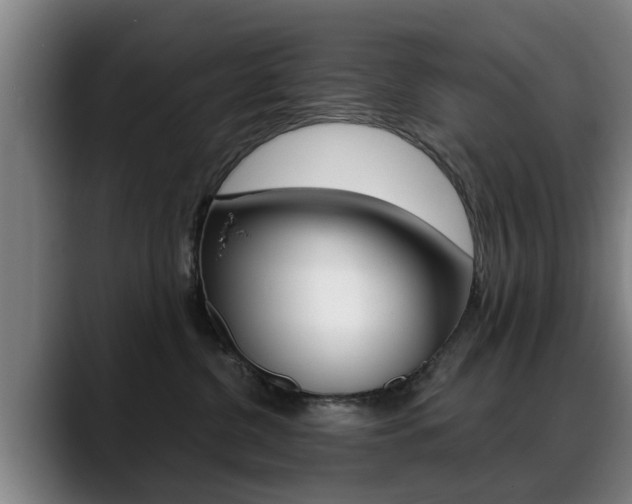 X0000089420380200706151008