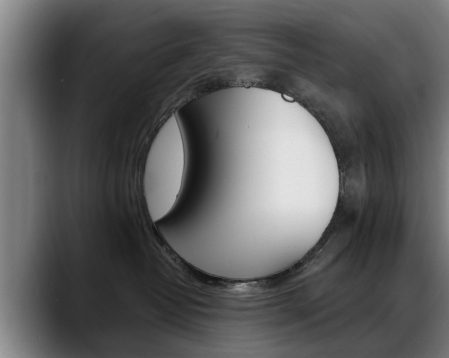 X0000089420382200706151008