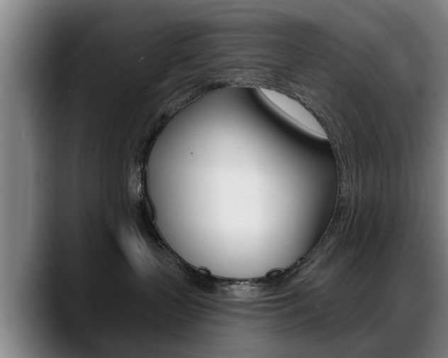 X0000089420383200706151008