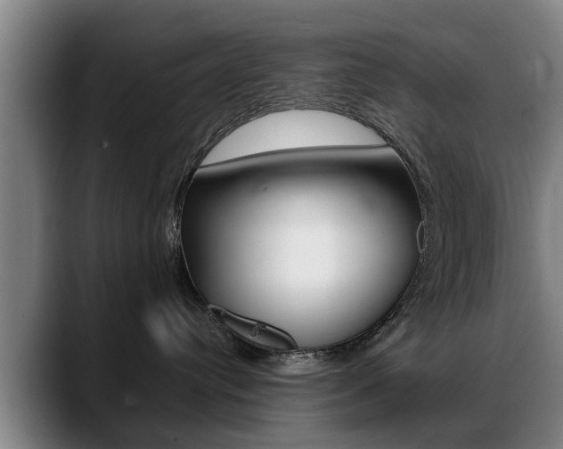 X0000089420384200706151008