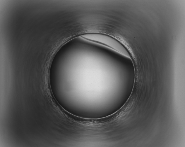 X0000089420385200706151007