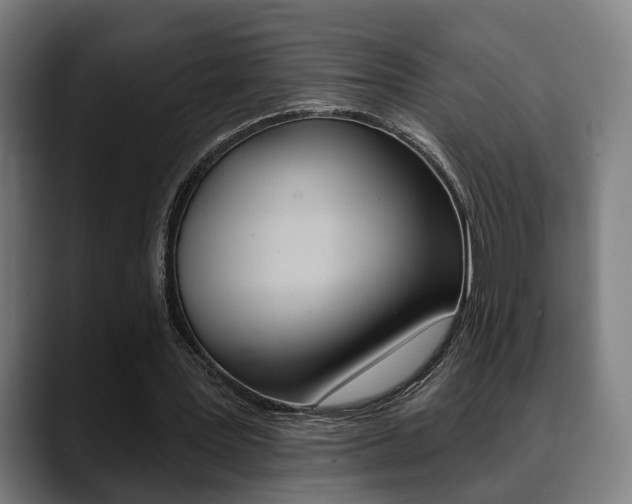 X0000089420387200706151007
