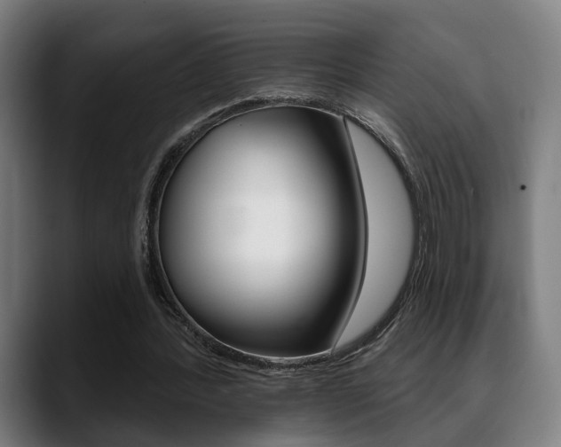 X0000089420388200706151007