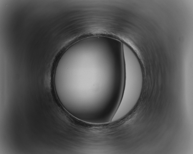 X0000089420391200706151007