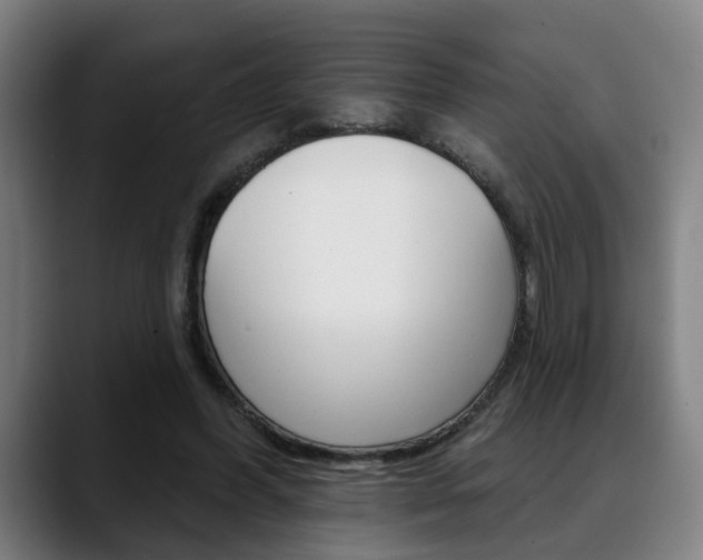 X0000089420396200706151007