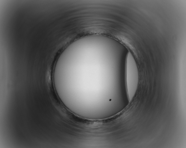 X0000089420398200706151007