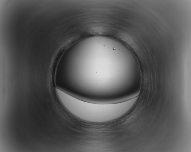 X0000089420399200706151007