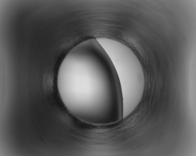 X0000089420404200706151007