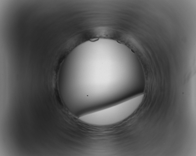 X0000089420413200706151007