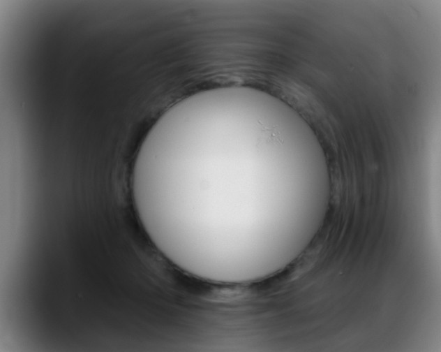 X0000089420414200706151007