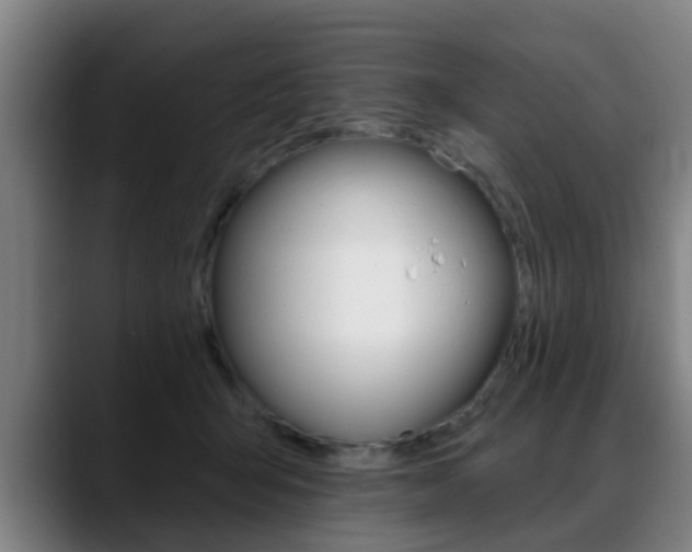 X0000089420415200706151007