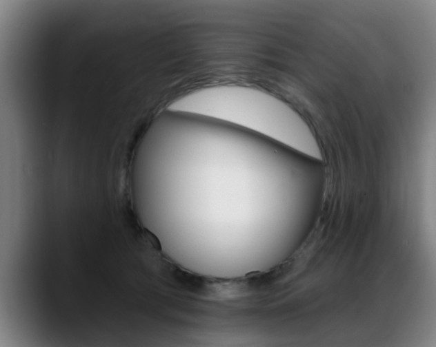 X0000089420417200706151007