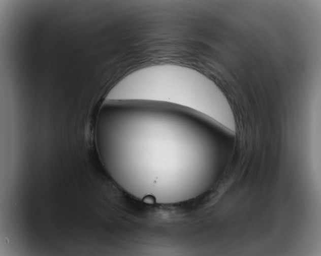 X0000089420420200706151007