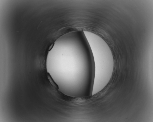 X0000089420421200706151007