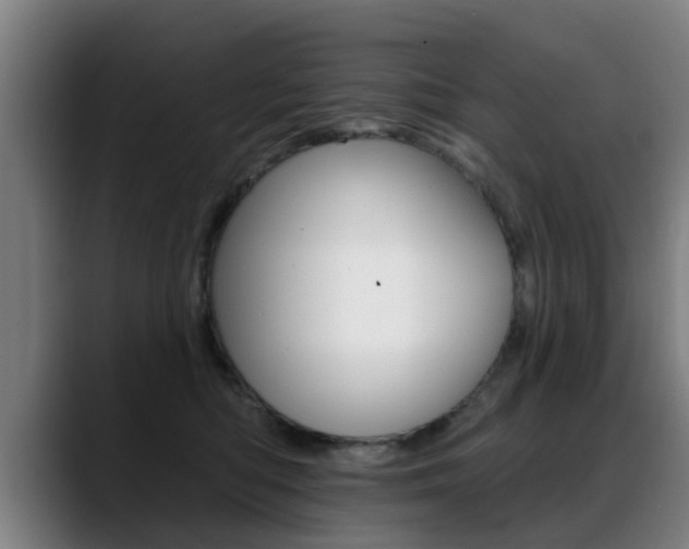 X0000089420422200706151007