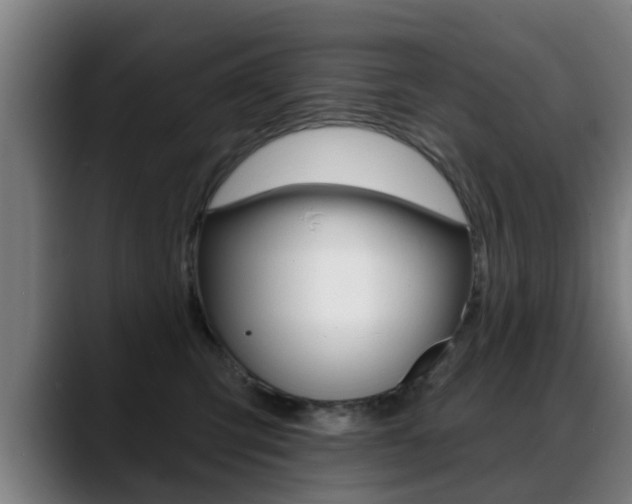 X0000089420423200706151007
